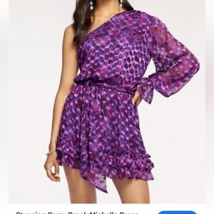 New Ramy Brook Elegant Purple Dress